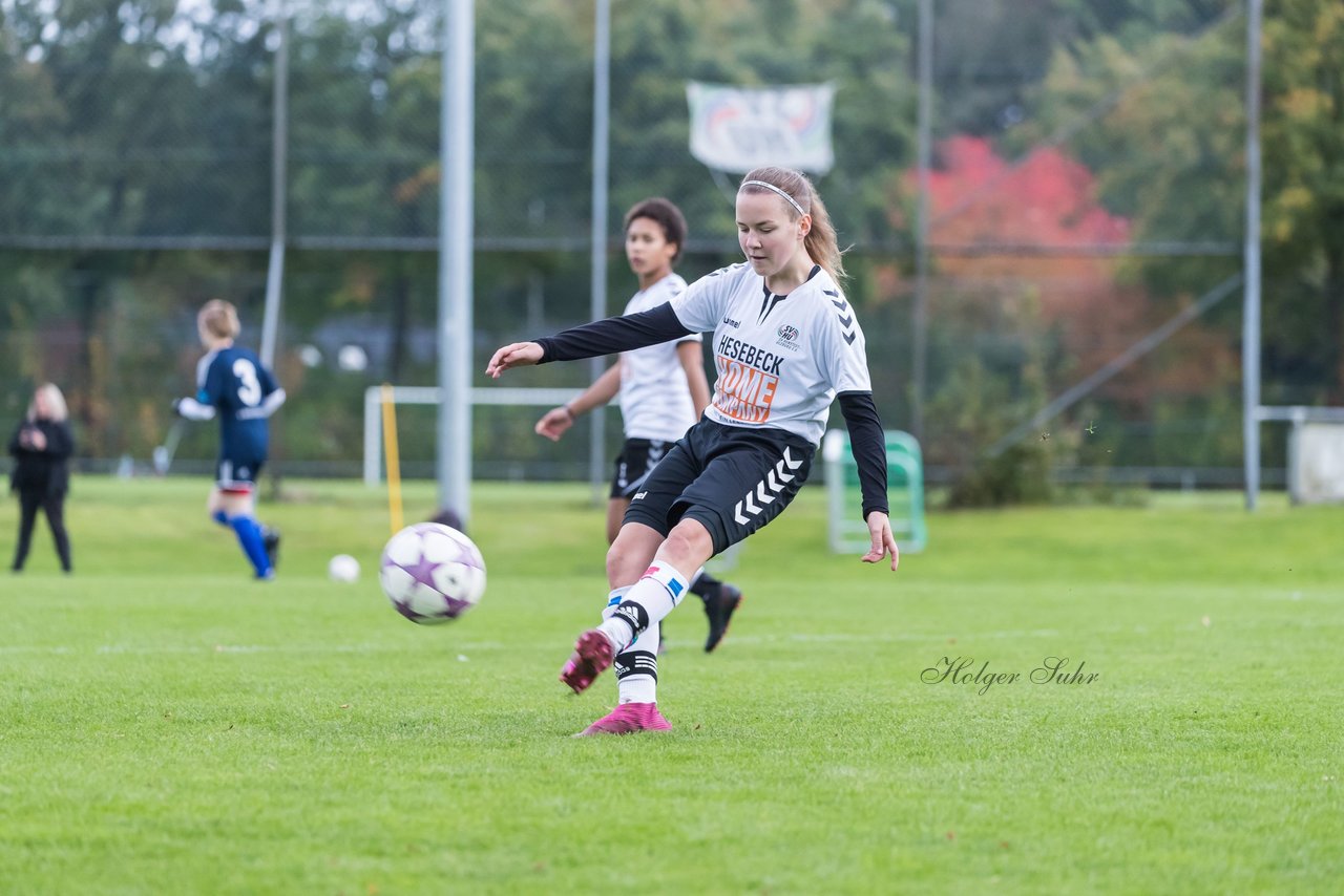 Bild 223 - B-Juniorinnen SV Henstedt Ulzburg - Hamburger SV : Ergebnis: 2:3